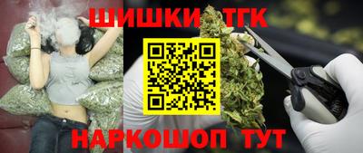 прущие грибы Будённовск