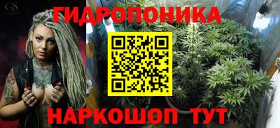 прущие грибы Будённовск