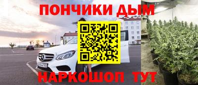 прущие грибы Будённовск