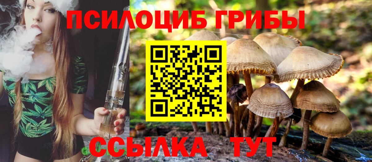 Псилоцибиновые грибы Psilocybine cubensis Шуя
