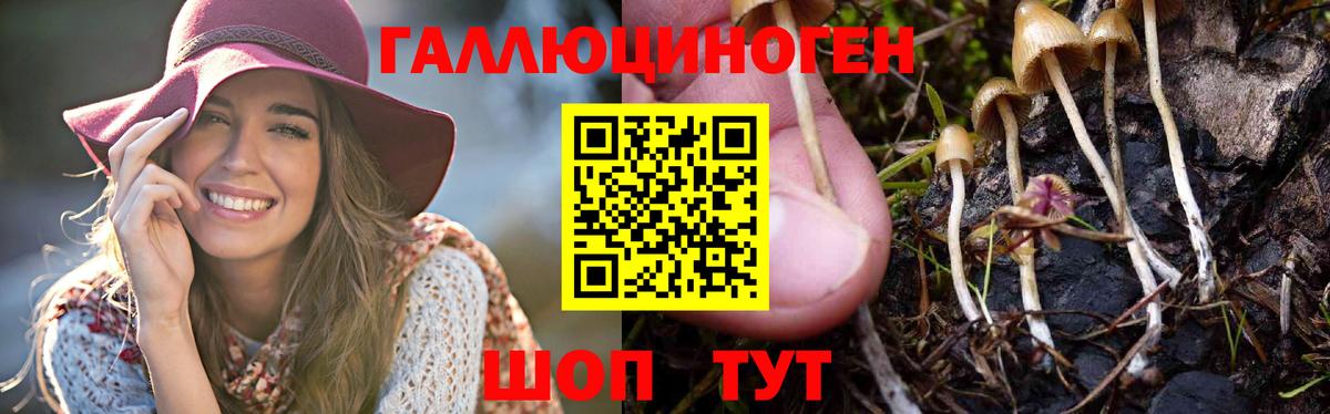 Псилоцибиновые грибы прущие грибы  Вход с VPN  Шуя 